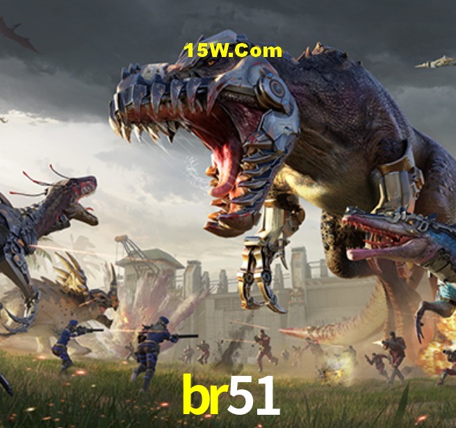 Estatísticas br51